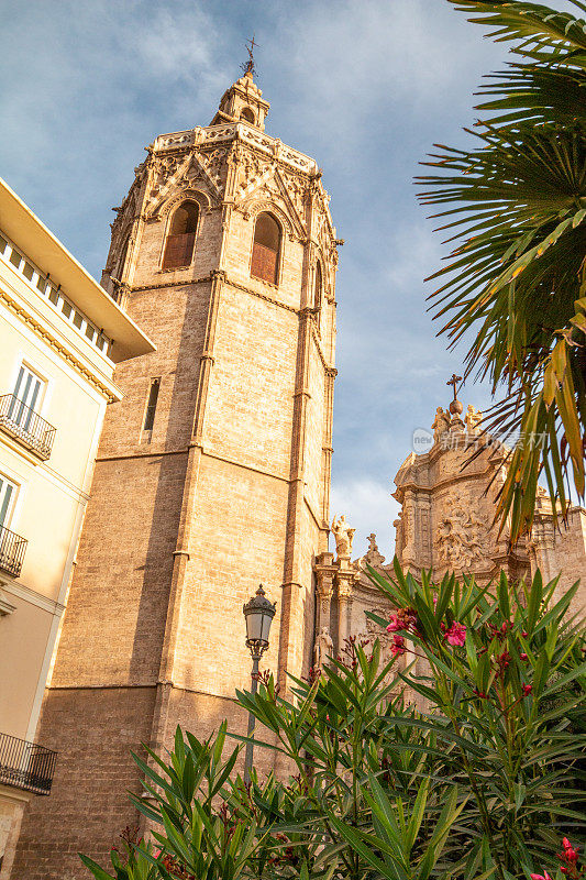 Metropolitan Cathedral–Basilica of the Assumption of Our Lady of Valencia on Plaça de l'Almoina in Valencia, Spain